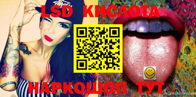 крисы Будённовск