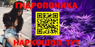крисы Будённовск