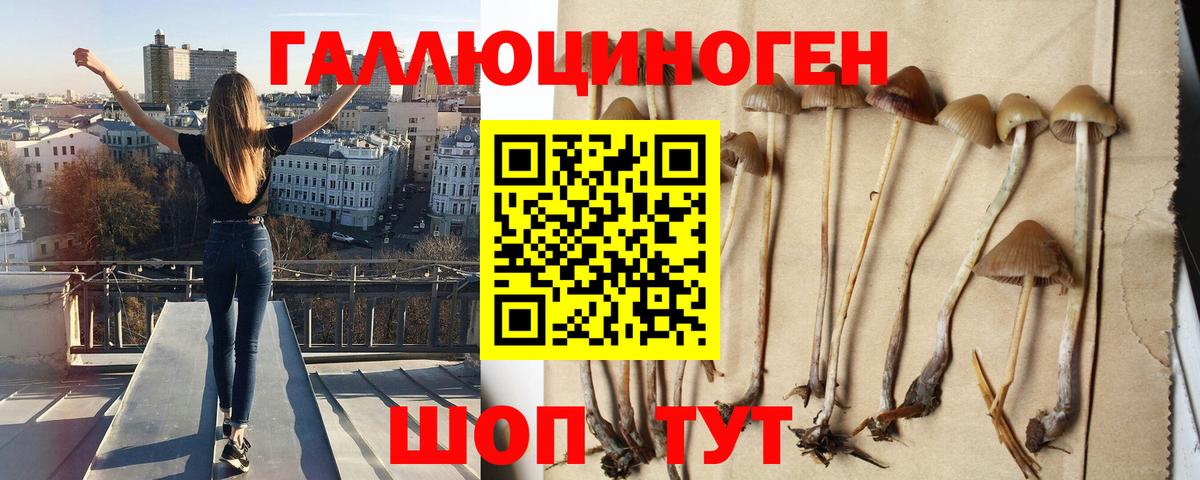 Псилоцибиновые грибы прущие грибы Белово